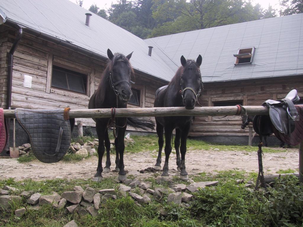 Osrodek Beskid Fizjo & Spa Korbielów Extérieur photo